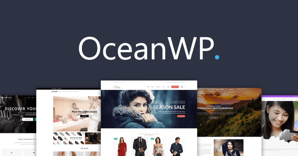 Best WordPress Theme